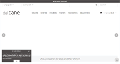 Desktop Screenshot of delcane.com